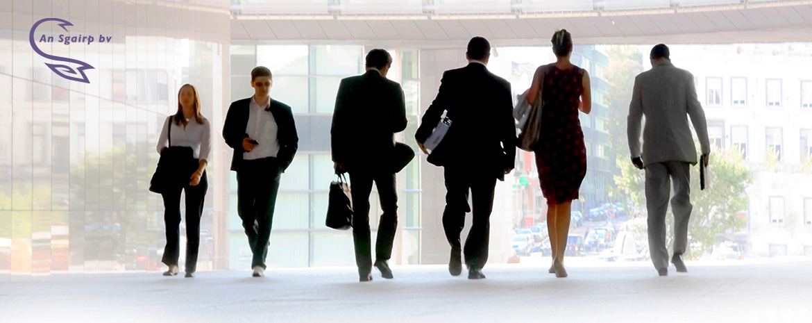 An Sgairp bv consultancy